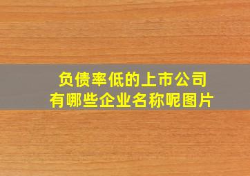 负债率低的上市公司有哪些企业名称呢图片