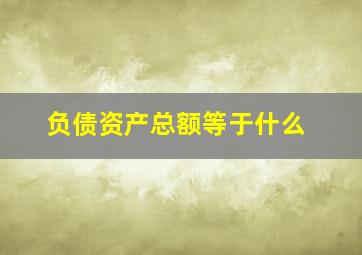 负债资产总额等于什么