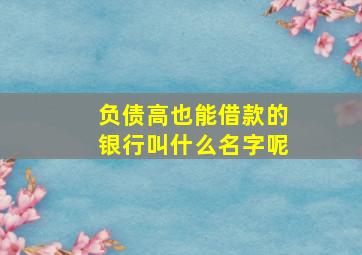 负债高也能借款的银行叫什么名字呢