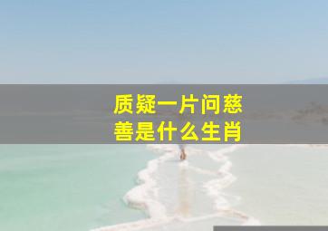 质疑一片问慈善是什么生肖