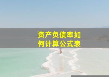 资产负债率如何计算公式表