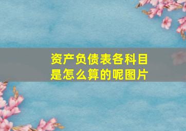 资产负债表各科目是怎么算的呢图片