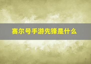 赛尔号手游先锋是什么