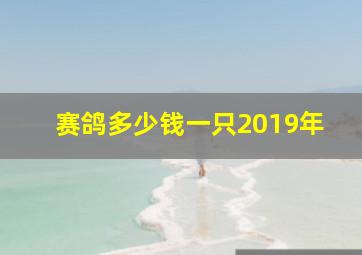 赛鸽多少钱一只2019年