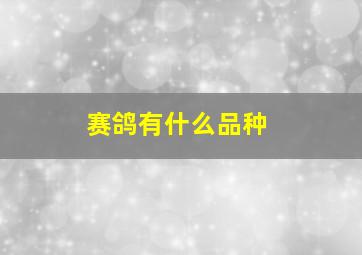 赛鸽有什么品种