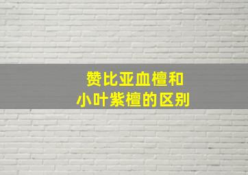 赞比亚血檀和小叶紫檀的区别