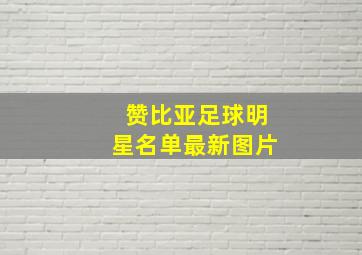 赞比亚足球明星名单最新图片