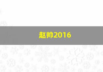 赵帅2016