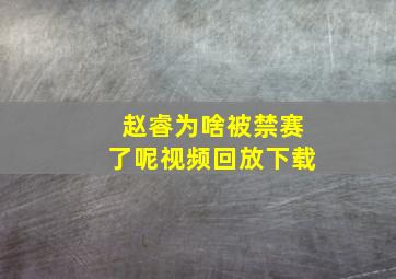 赵睿为啥被禁赛了呢视频回放下载