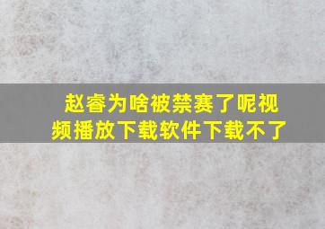 赵睿为啥被禁赛了呢视频播放下载软件下载不了