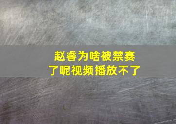 赵睿为啥被禁赛了呢视频播放不了