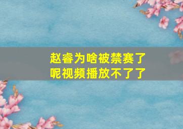 赵睿为啥被禁赛了呢视频播放不了了