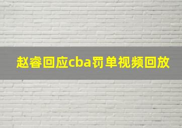 赵睿回应cba罚单视频回放