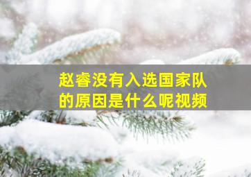 赵睿没有入选国家队的原因是什么呢视频