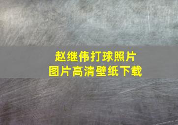 赵继伟打球照片图片高清壁纸下载