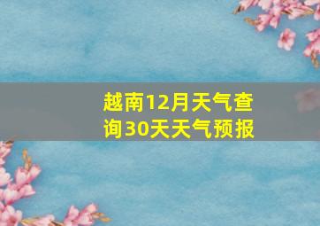 越南12月天气查询30天天气预报