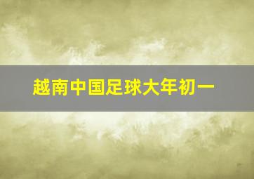 越南中国足球大年初一