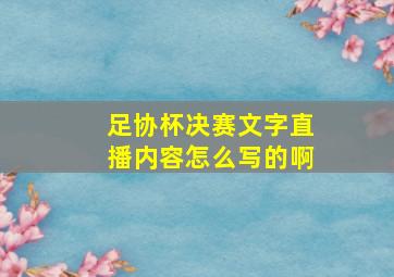 足协杯决赛文字直播内容怎么写的啊