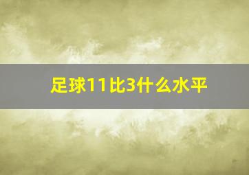 足球11比3什么水平