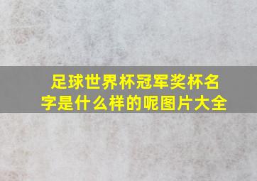 足球世界杯冠军奖杯名字是什么样的呢图片大全