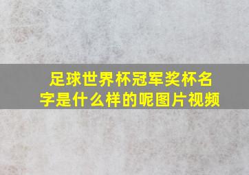 足球世界杯冠军奖杯名字是什么样的呢图片视频