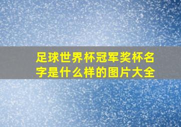 足球世界杯冠军奖杯名字是什么样的图片大全