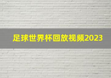 足球世界杯回放视频2023