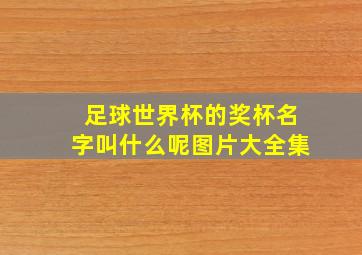 足球世界杯的奖杯名字叫什么呢图片大全集