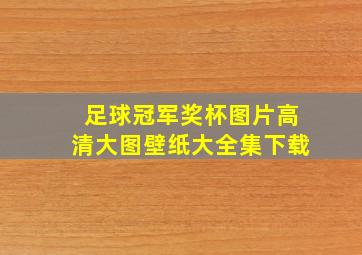 足球冠军奖杯图片高清大图壁纸大全集下载