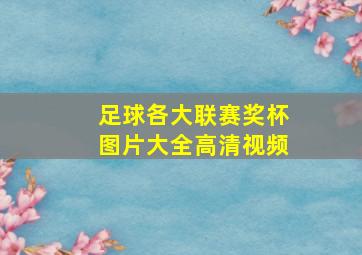 足球各大联赛奖杯图片大全高清视频