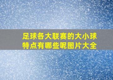 足球各大联赛的大小球特点有哪些呢图片大全