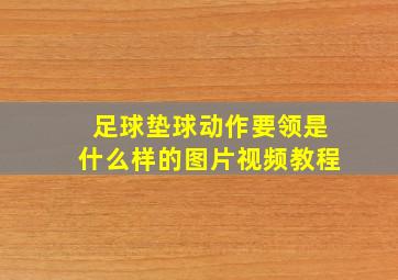 足球垫球动作要领是什么样的图片视频教程