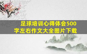 足球培训心得体会500字左右作文大全图片下载