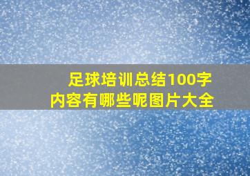 足球培训总结100字内容有哪些呢图片大全