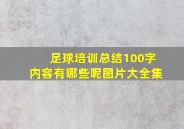 足球培训总结100字内容有哪些呢图片大全集