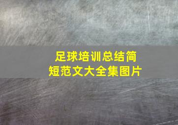 足球培训总结简短范文大全集图片