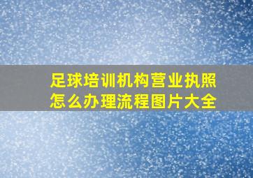 足球培训机构营业执照怎么办理流程图片大全