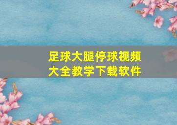 足球大腿停球视频大全教学下载软件