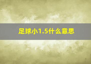 足球小1.5什么意思