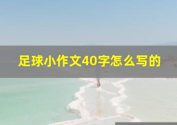 足球小作文40字怎么写的