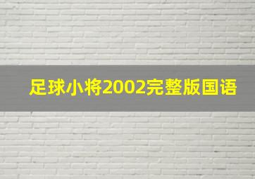 足球小将2002完整版国语