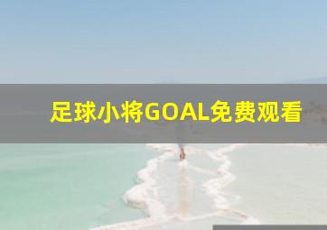 足球小将GOAL免费观看