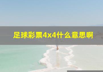 足球彩票4x4什么意思啊