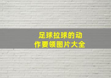 足球拉球的动作要领图片大全