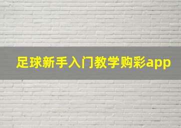 足球新手入门教学购彩app