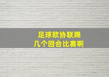 足球欧协联踢几个回合比赛啊