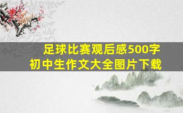 足球比赛观后感500字初中生作文大全图片下载