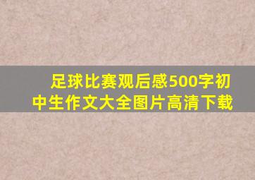 足球比赛观后感500字初中生作文大全图片高清下载