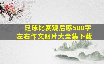 足球比赛观后感500字左右作文图片大全集下载