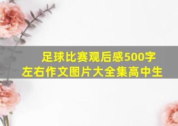 足球比赛观后感500字左右作文图片大全集高中生